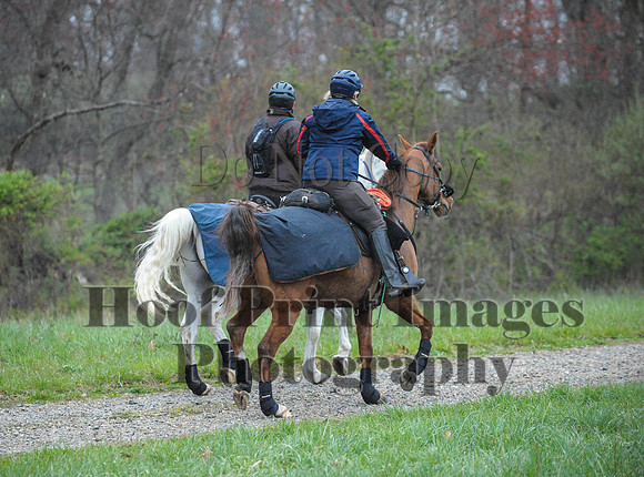 Foxcatcher(4-9-16)0173