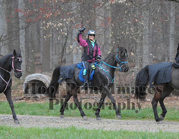 Foxcatcher(4-9-16)0367