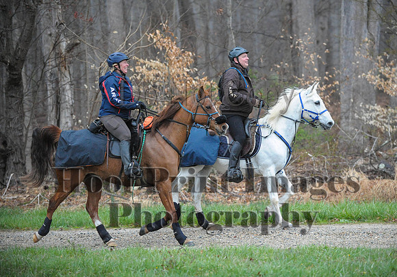 Foxcatcher(4-9-16)0166