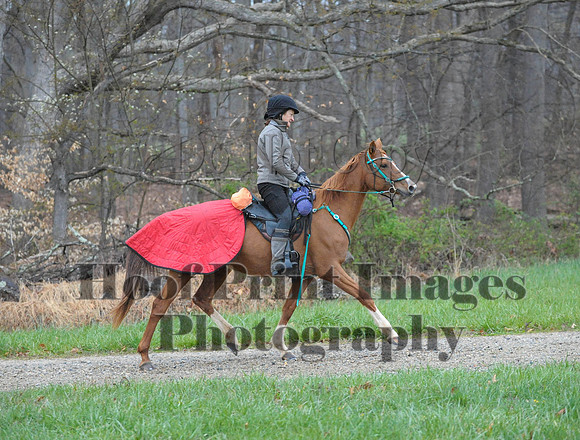 Foxcatcher(4-9-16)0240