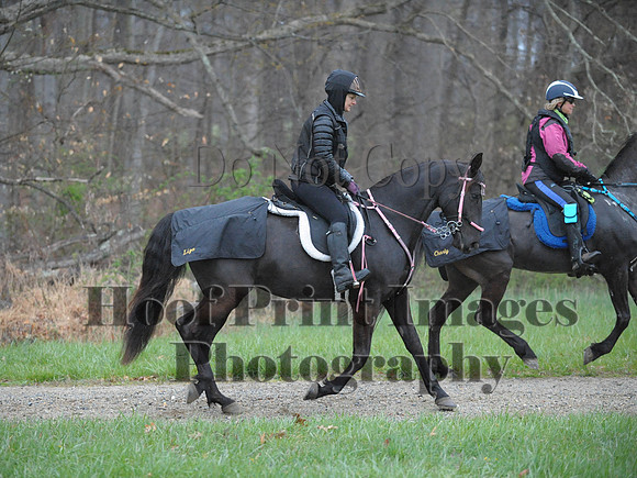 Foxcatcher(4-9-16)0376