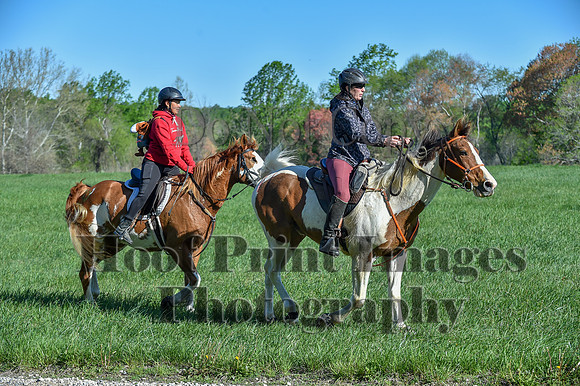 ChesapeakeSpring(4-27-25)0330