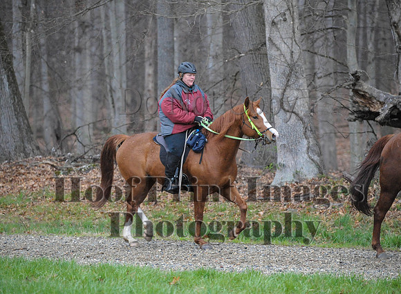 Foxcatcher(4-9-16)0418