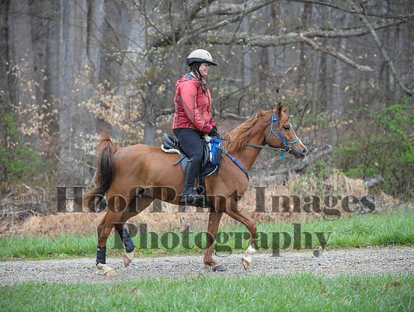 Foxcatcher(4-9-16)0228