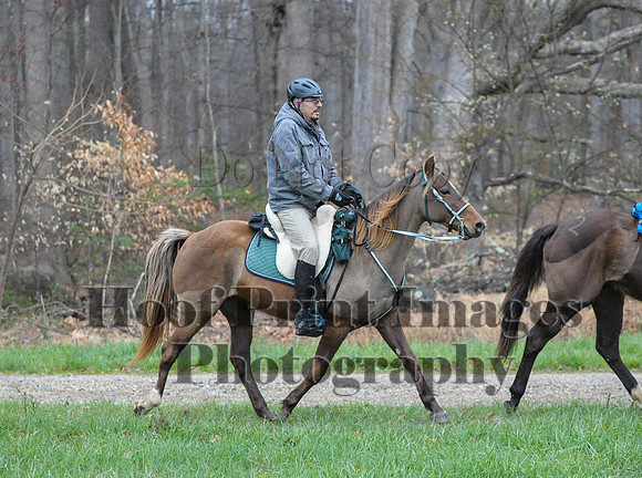 Foxcatcher(4-9-16)0317