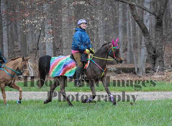 Foxcatcher(4-9-16)0078