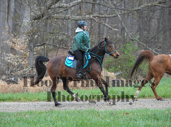 Foxcatcher(4-9-16)0221