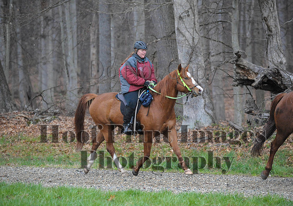 Foxcatcher(4-9-16)0419