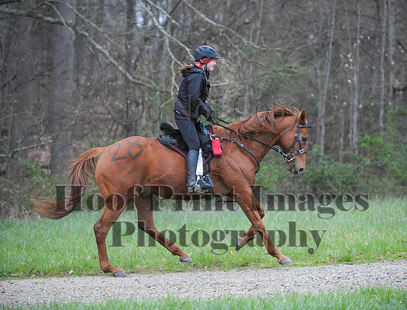 Foxcatcher(4-9-16)0046