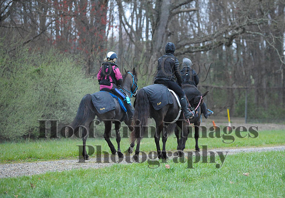 Foxcatcher(4-9-16)0381