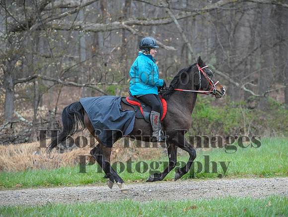 Foxcatcher(4-9-16)0270