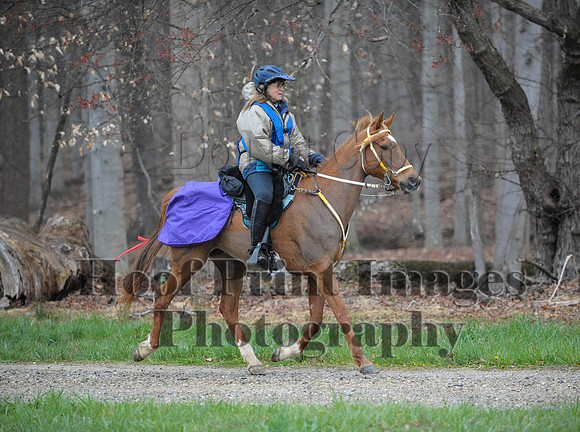 Foxcatcher(4-9-16)0180