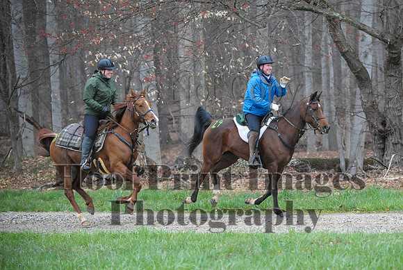 Foxcatcher(4-9-16)0301