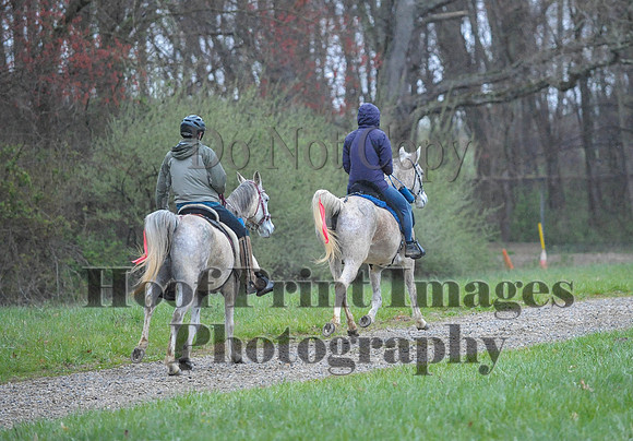 Foxcatcher(4-9-16)0475