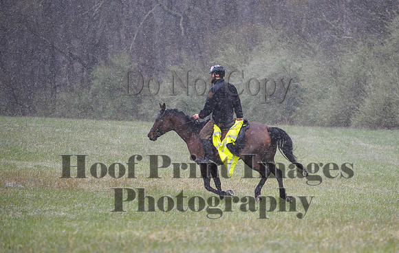 Foxcatcher(4-9-16)0930
