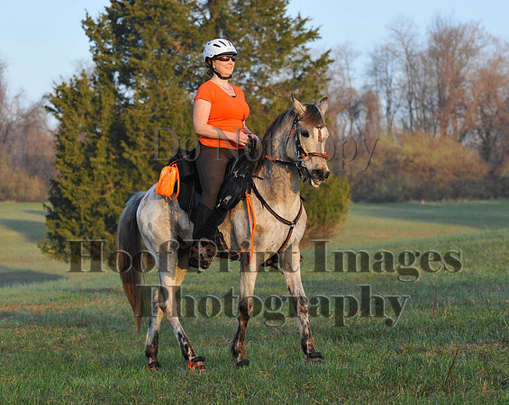 Foxcatcher(4-12-14)0245