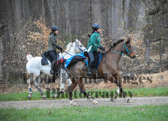 Foxcatcher(4-9-16)0127