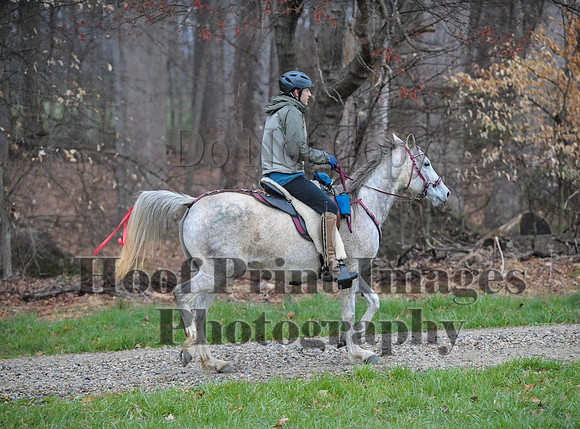 Foxcatcher(4-9-16)0467