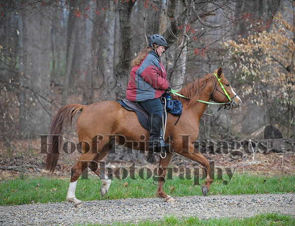 Foxcatcher(4-9-16)0427