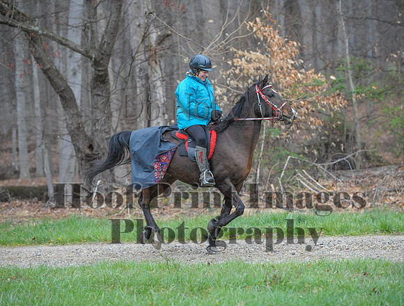 Foxcatcher(4-9-16)0266