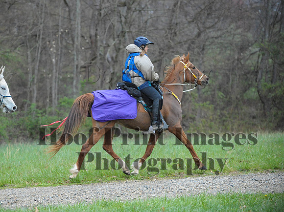 Foxcatcher(4-9-16)0191