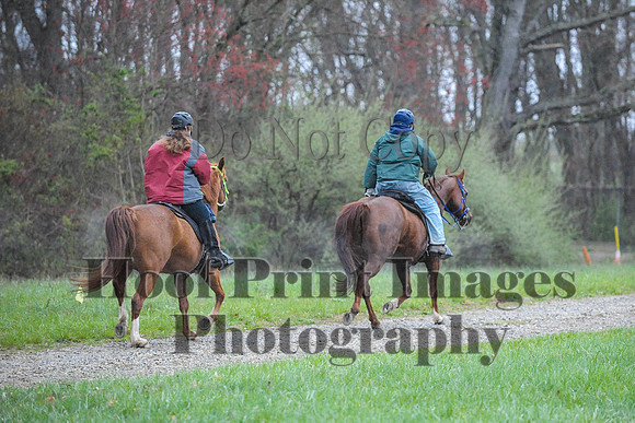 Foxcatcher(4-9-16)0428