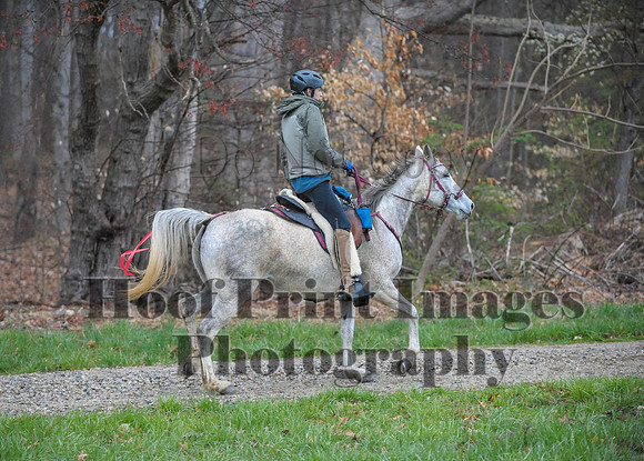 Foxcatcher(4-9-16)0470