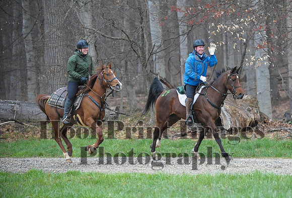 Foxcatcher(4-9-16)0300
