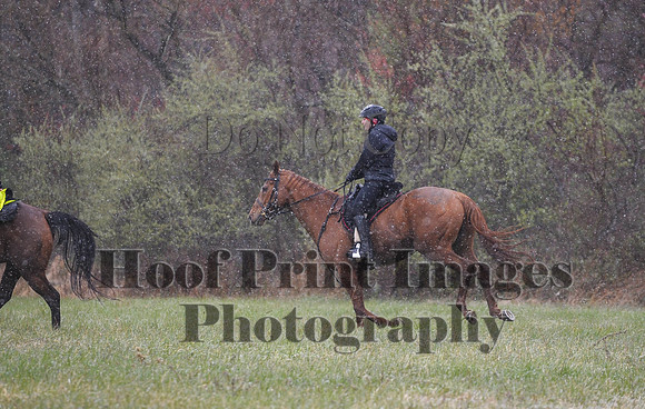 Foxcatcher(4-9-16)0929