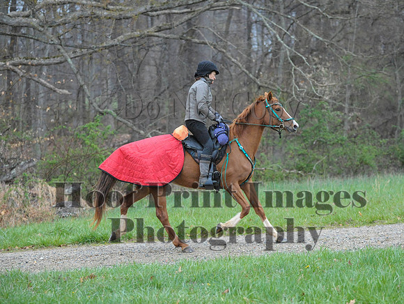 Foxcatcher(4-9-16)0241
