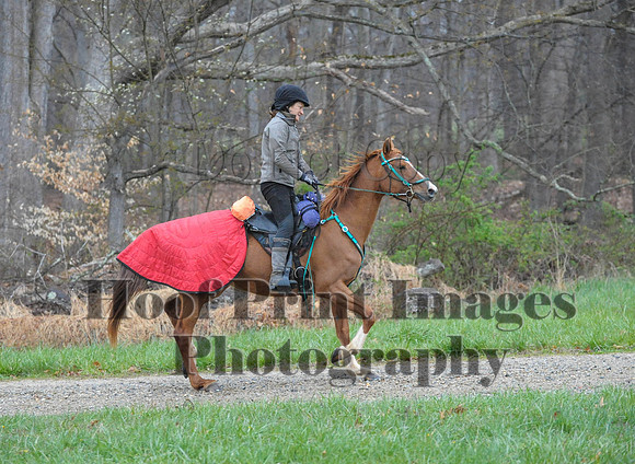 Foxcatcher(4-9-16)0239