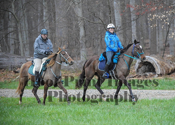 Foxcatcher(4-9-16)0313