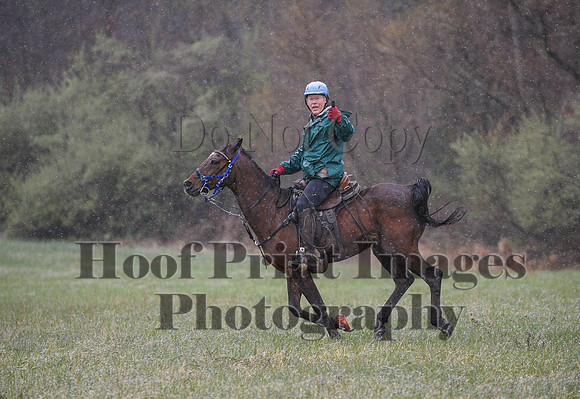 Foxcatcher(4-9-16)0911