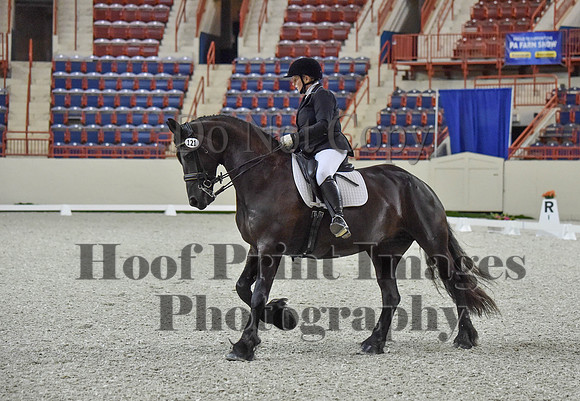 CWdressageI(8-20-16)0897