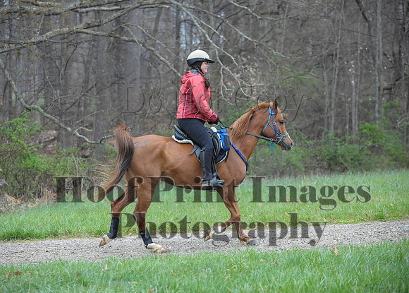 Foxcatcher(4-9-16)0233