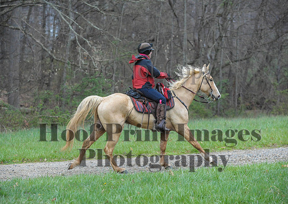 Foxcatcher(4-9-16)0294