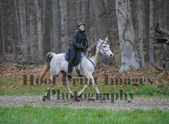 Foxcatcher(4-9-16)0487
