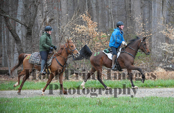 Foxcatcher(4-9-16)0304