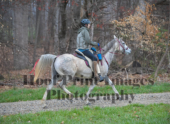 Foxcatcher(4-9-16)0468