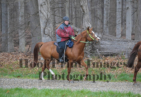 Foxcatcher(4-9-16)0420