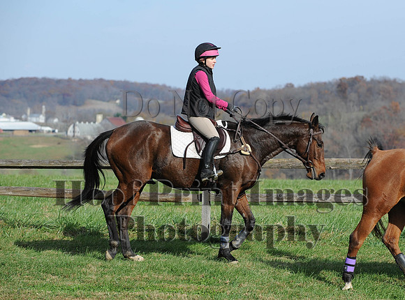 AndrewsBr(11-9-14)0429