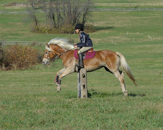 BHPC(11-15-15)0459