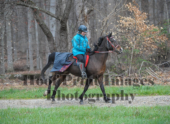 Foxcatcher(4-9-16)0265