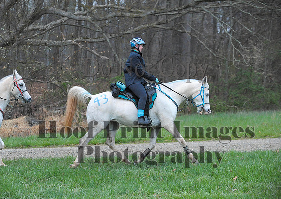 Foxcatcher(4-9-16)0105