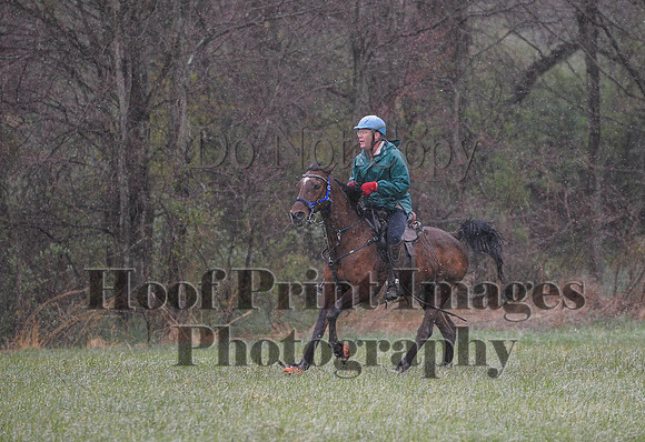 Foxcatcher(4-9-16)0904
