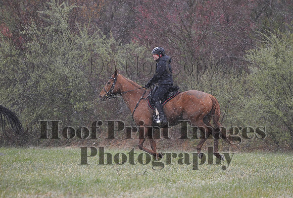 Foxcatcher(4-9-16)0927