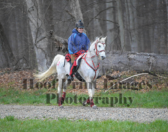 Foxcatcher(4-9-16)0140