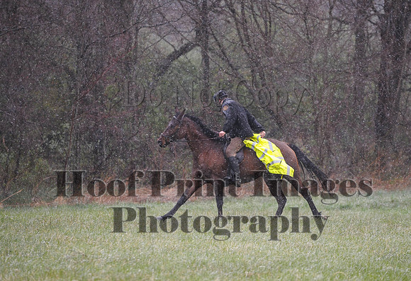 Foxcatcher(4-9-16)0919