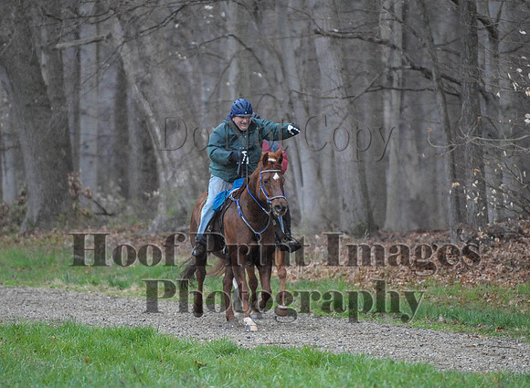 Foxcatcher(4-9-16)0407