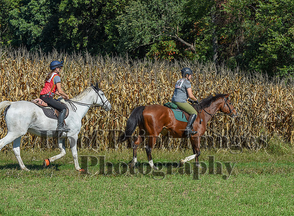 CheshirePonyClubPC(10-6-24)0408